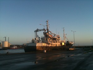 Havnen